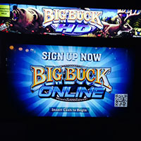 Big Buck HD